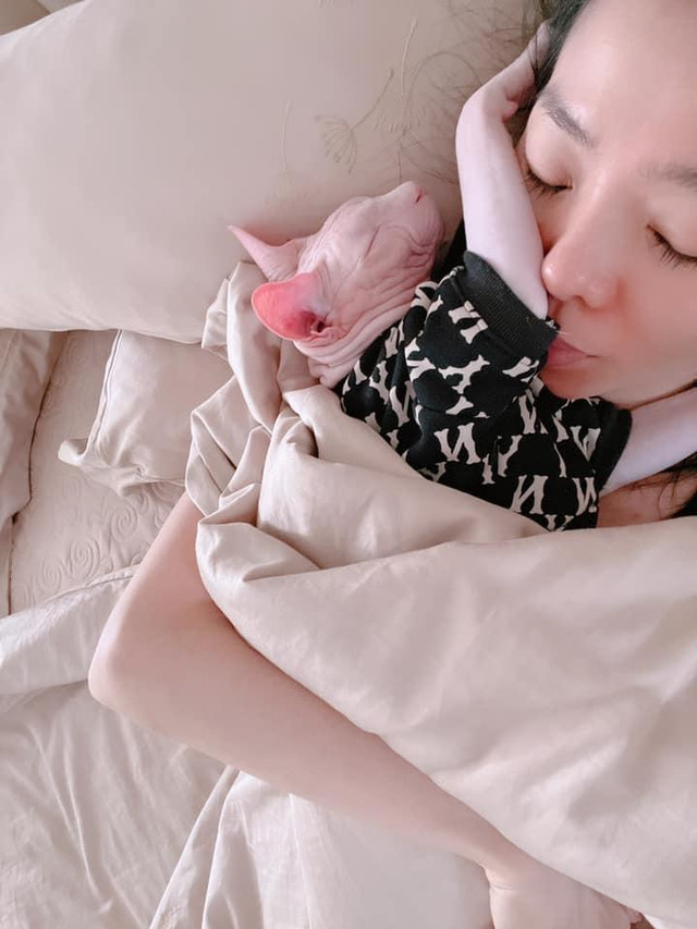Lệ Quyên đáp trả cực gắt khi thú cưng bị chê bai Le Quyen dap tra cuc gat khi thu cung bi che bai