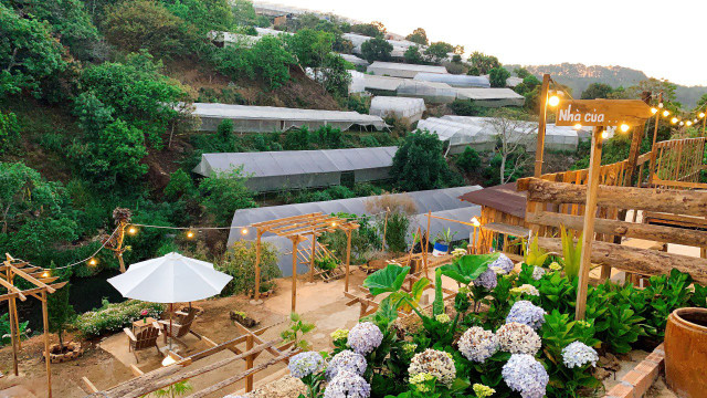 Cô gái rời TP.HCM về Đà Lạt, mở homestay giữa núi đồi - Hình 7 Co gai roi TP.HCM ve Da Lat, mo homestay giua nui doi-Hinh-7