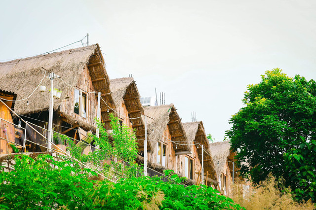 Cô gái rời TP.HCM về Đà Lạt, mở homestay giữa núi đồi - Hình 2 Co gai roi TP.HCM ve Da Lat, mo homestay giua nui doi-Hinh-2