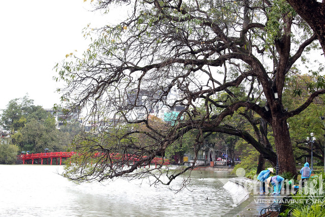Mưa rét buốt ở Hà Nội, cần thủ vẫn dầm mình ở hồ Gươm - Hình 2 Mua ret buot o Ha Noi, can thu van dam minh o ho Guom-Hinh-2