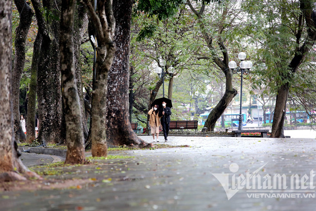 Mưa rét buốt ở Hà Nội, cần thủ vẫn dầm mình ở hồ Gươm - Hình 7 Mua ret buot o Ha Noi, can thu van dam minh o ho Guom-Hinh-7
