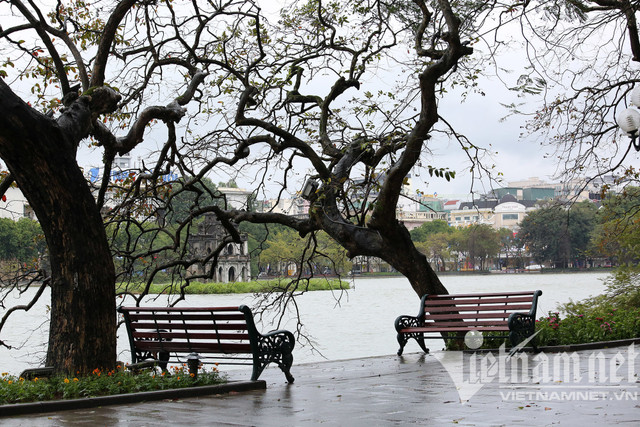 Mưa rét buốt ở Hà Nội, cần thủ vẫn dầm mình ở hồ Gươm - Hình 3 Mua ret buot o Ha Noi, can thu van dam minh o ho Guom-Hinh-3