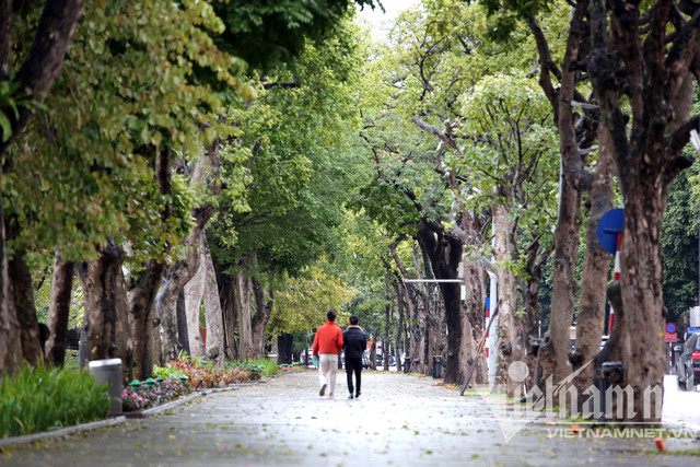 Mưa rét buốt ở Hà Nội, cần thủ vẫn dầm mình ở hồ Gươm - Hình 10 Mua ret buot o Ha Noi, can thu van dam minh o ho Guom-Hinh-10