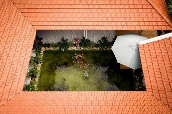 Nhà mái ngói hiện đại có sân vườn và hồ cá - Hình 5 Nha mai ngoi hien dai co san vuon va ho ca-Hinh-5