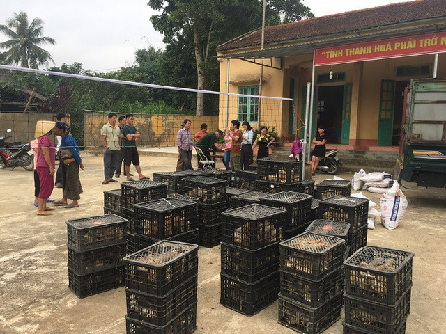 Giảng viên Đại học nghỉ việc về quê nuôi “đặc sản tiến vua”, thu bạc tỷ - Hình 5 Giang vien Dai hoc nghi viec ve que nuoi “dac san tien vua”, thu bac ty-Hinh-5