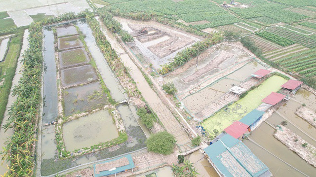 Giảng viên Đại học nghỉ việc về quê nuôi “đặc sản tiến vua”, thu bạc tỷ - Hình 6 Giang vien Dai hoc nghi viec ve que nuoi “dac san tien vua”, thu bac ty-Hinh-6