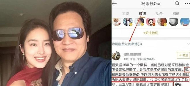 Người đàn ông là vết nhơ duy nhất của Lưu Diệc Phi - Hình 4 Nguoi dan ong la vet nho duy nhat cua Luu Diec Phi-Hinh-4