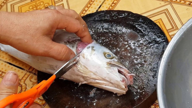 Bất ngờ 5 bộ phận của con cá chứa nhiều độc tố - Hình 4 Bat ngo 5 bo phan cua con ca chua nhieu doc to-Hinh-4