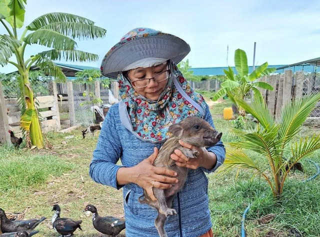 Bỏ phố về quê, 8x Bình Thuận có thu nhập hơn 300 triệu đồng/năm - Hình 3 Bo pho ve que, 8x Binh Thuan co thu nhap hon 300 trieu dong/nam-Hinh-3