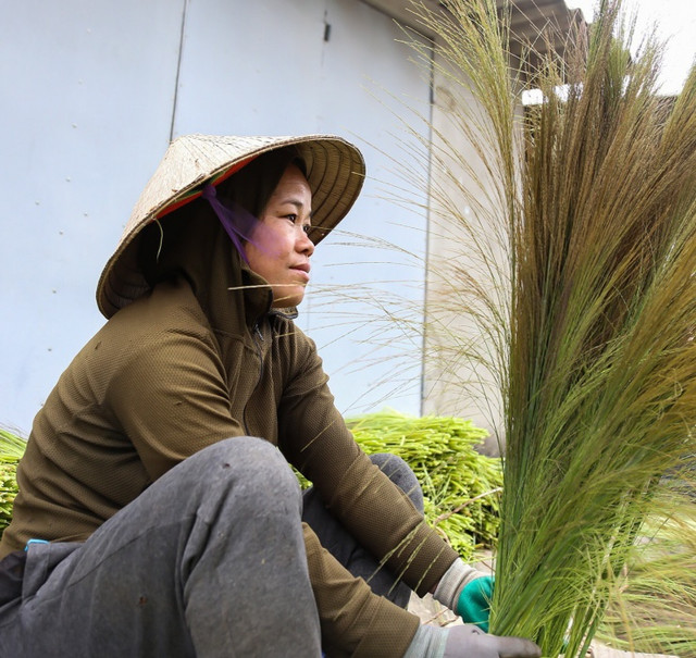 Lộc trời 1 năm chỉ nở 1 lần, muốn hái phải liều nhưng kiếm bộn - Hình 5 Loc troi 1 nam chi no 1 lan, muon hai phai lieu nhung kiem bon-Hinh-5