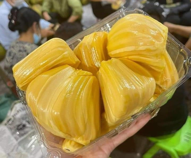 Mít Thái tại vườn rớt giá thê thảm chỉ còn 2.000 đồng/kg - Hình 3 Mit Thai tai vuon rot gia the tham chi con 2.000 dong/kg-Hinh-3