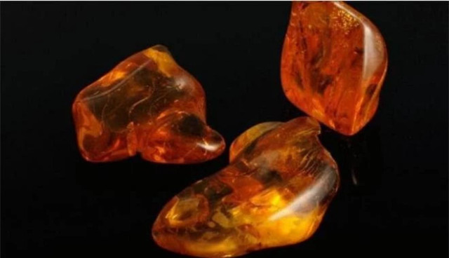 Mảnh hổ phách lưu giữ hai con ruồi đang giao phối suốt 41 triệu năm - Hình 2 Manh ho phach luu giu hai con ruoi dang giao phoi suot 41 trieu nam-Hinh-2