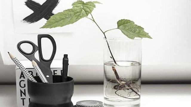 Cuối năm, thay đổi một số thứ trên bàn làm việc: Công thành danh toại Cuoi nam, thay doi mot so thu tren ban lam viec: Cong thanh danh toai