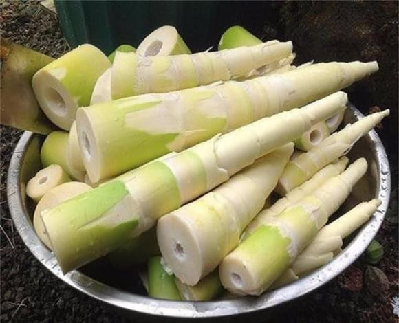 Mẹo loại bỏ độc tố trong măng tươi trước khi nấu Meo loai bo doc to trong mang tuoi truoc khi nau