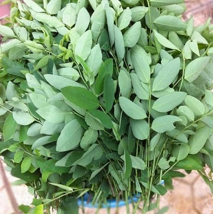 Mẹo loại bỏ độc tố trong măng tươi trước khi nấu - Hình 2 Meo loai bo doc to trong mang tuoi truoc khi nau-Hinh-2