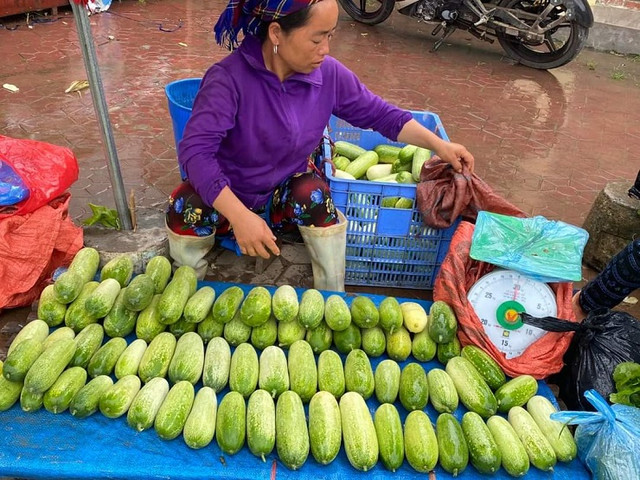Dưa chuột siêu to khổng lồ xuống núi, đắt gấp 3 vẫn hút khách - Hình 2 Dua chuot sieu to khong lo xuong nui, dat gap 3 van hut khach-Hinh-2