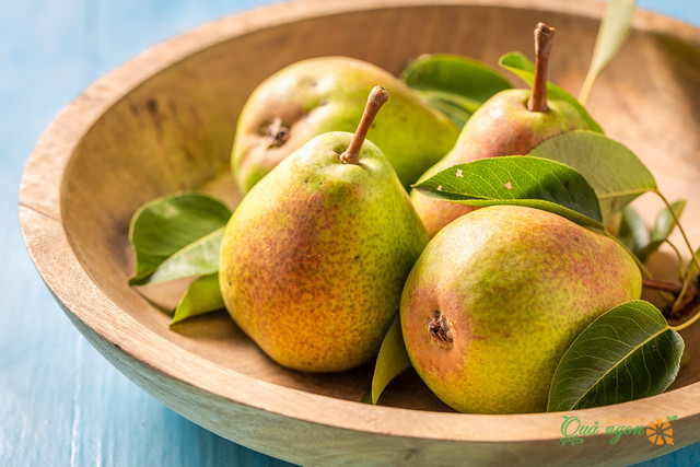 Loại quả ức chế tế bào ung thư người Nhật cực thích - Hình 2 Loai qua uc che te bao ung thu nguoi Nhat cuc thich-Hinh-2