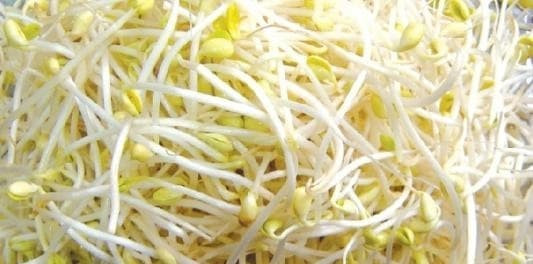 3 loại rau mà người nước ngoài không ăn, nhưng người Việt thích ăn - Hình 3 3 loai rau ma nguoi nuoc ngoai khong an, nhung nguoi Viet thich an-Hinh-3