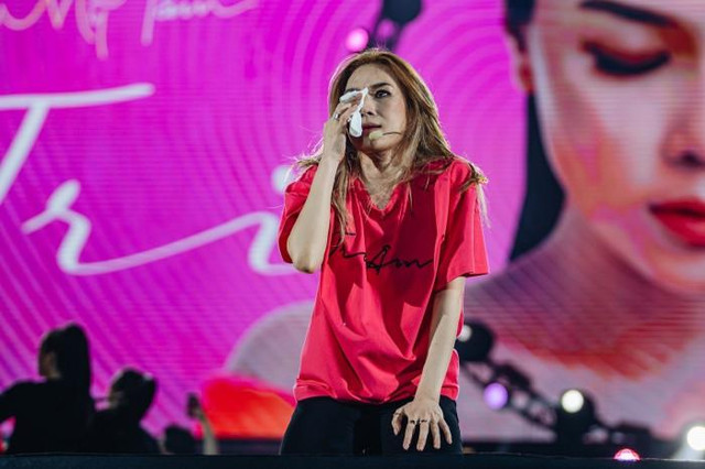 Mỹ Tâm lên tiếng vụ khiếu nại "vé VIP phải đứng hành lang" - Hình 5 My Tam len tieng vu khieu nai