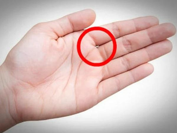 Người có một trong các tướng tay này là người biết giữ tiền - Hình 2 Nguoi co mot trong cac tuong tay nay la nguoi biet giu tien-Hinh-2