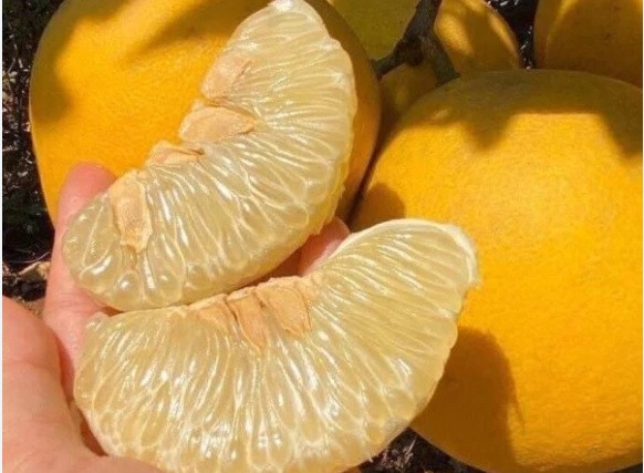 Ăn bưởi, kể cả bưởi ngọt cũng cần tránh sai lầm này An buoi, ke ca buoi ngot cung can tranh sai lam nay