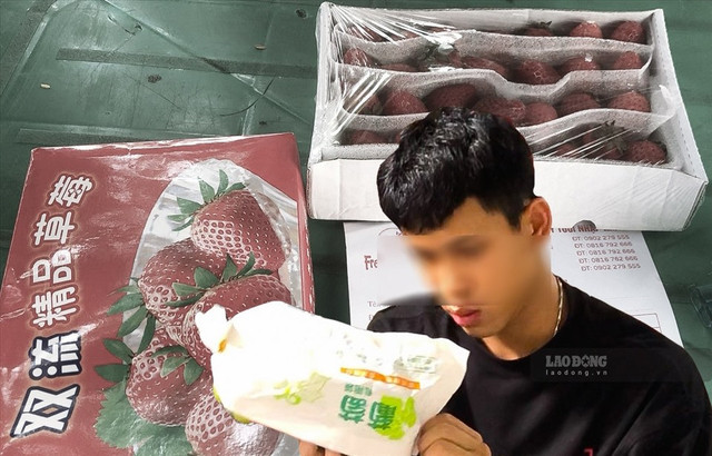 "Đội lốt" hoa quả ngoại: Siêu lợi nhuận và nguy cơ thất thu thuế “Đội lốt” hoa quả ngoại: Siêu lợi nhuận và nguy cơ thất thu thuế ảnh 1