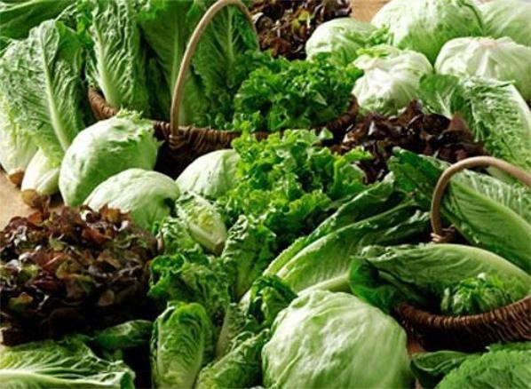 9 loại "siêu thực phẩm" cần thiết cho người lớn tuổi - Hình 2 9 loai
