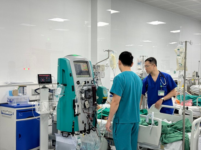 Bé gái 13 tuổi sốc phản vệ nguy kịch vì bị ong đốt Be gai 13 tuoi soc phan ve nguy kich vi bi ong dot
