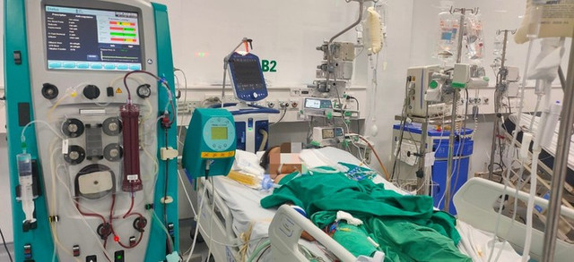 Bé gái 13 tuổi sốc phản vệ nguy kịch vì bị ong đốt - Hình 3 Be gai 13 tuoi soc phan ve nguy kich vi bi ong dot-Hinh-3