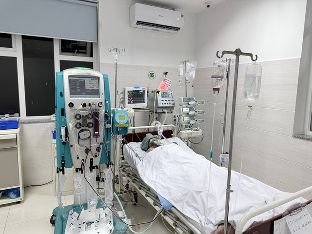 Suy đa tạng, lọc máu liên tục chỉ vì mò đốt - Hình 2 Suy da tang, loc mau lien tuc chi vi mo dot-Hinh-2