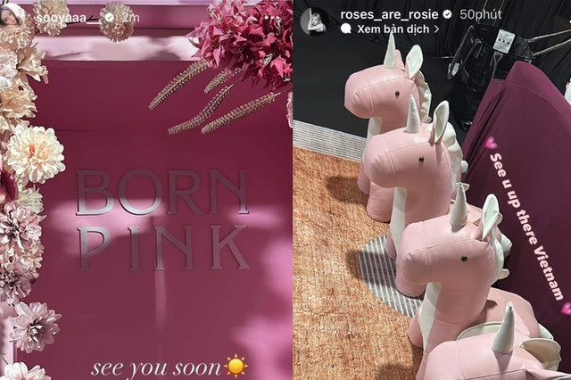 Phòng chờ sang chảnh phủ đầy hoa của Blackpink tại sân Mỹ Đình Phong cho sang chanh phu day hoa cua Blackpink tai san My Dinh