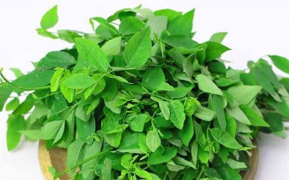 Vì sao bà đẻ nên ăn rau ngót, nhưng bà bầu tuyệt đối không ăn? - Hình 2 Vi sao ba de nen an rau ngot, nhung ba bau tuyet doi khong an?-Hinh-2