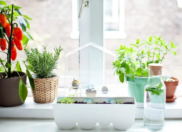 Trong bếp có 3 thứ này là đại cát, cuối năm làm gì cũng giàu - Hình 2 Trong bep co 3 thu nay la dai cat, cuoi nam lam gi cung giau-Hinh-2