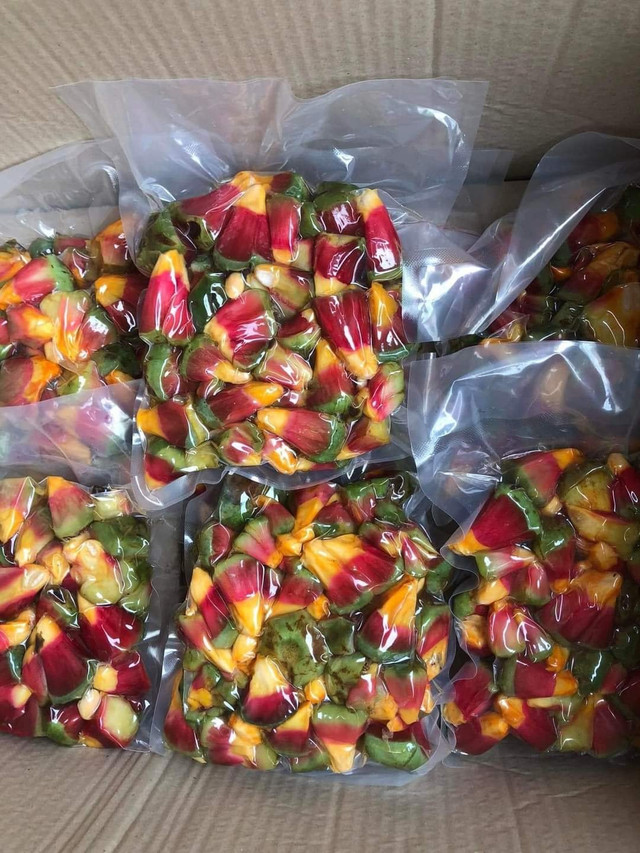 Điều đặc biệt của na ruột đỏ đắt gấp 3, “chỉ ngửi không ăn” - Hình 3 Dieu dac biet cua na ruot do dat gap 3, “chi ngui khong an”-Hinh-3