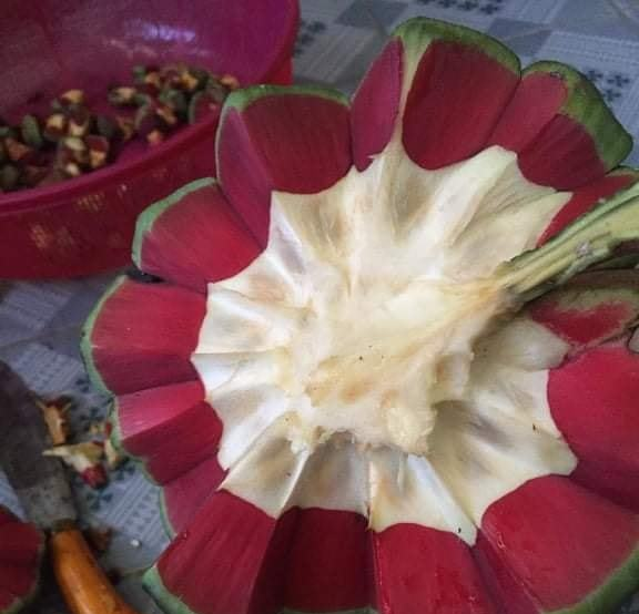 Điều đặc biệt của na ruột đỏ đắt gấp 3, “chỉ ngửi không ăn” - Hình 2 Dieu dac biet cua na ruot do dat gap 3, “chi ngui khong an”-Hinh-2