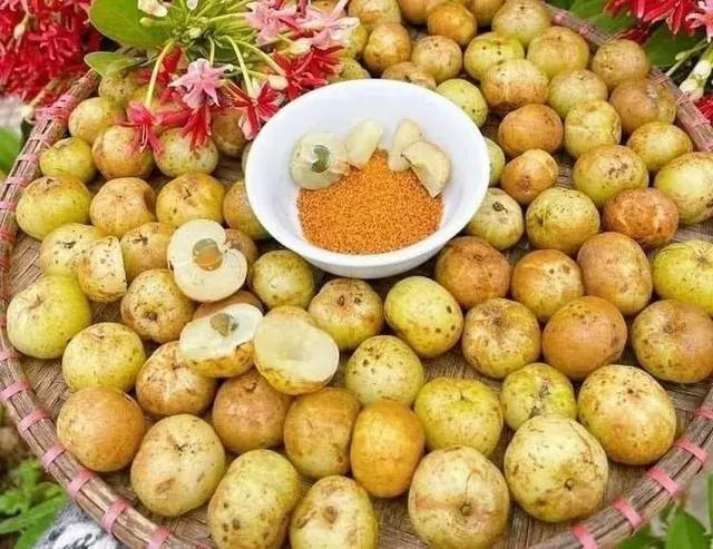 Loại quả “khổ trước sướng sau” cực giàu vitamin C, tốt cho sức khỏe Loai qua “kho truoc suong sau” cuc giau vitamin C, tot cho suc khoe