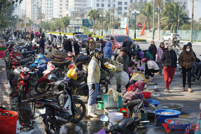 Sau Tết, cá khoai tăng giá, 600.000đ/kg, người dân tranh nhau mua - Hình 6 Sau Tet, ca khoai tang gia, 600.000d/kg, nguoi dan tranh nhau mua-Hinh-6
