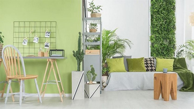 Chọn màu sơn phòng khách hợp với mệnh chủ nhà - Hình 2 Chon mau son phong khach hop voi menh chu nha-Hinh-2