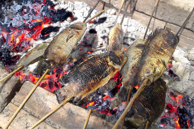 Loại cá rẻ tiền xưa có đầy ngoài đồng, giờ cực hiếm - Hình 9 Loai ca re tien xua co day ngoai dong, gio cuc hiem-Hinh-9