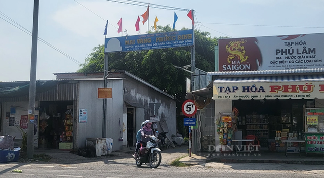 Cận cảnh những cây mai vàng cổ thụ giá bạc tỷ ở Vĩnh Long Can canh nhung cay mai vang co thu gia bac ty o Vinh Long