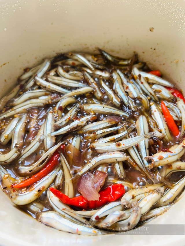 Loại cá bé tí tẹo, giá rẻ, siêu dinh dưỡng, tốt cho xương - Hình 5 Loai ca be ti teo, gia re, sieu dinh duong, tot cho xuong-Hinh-5