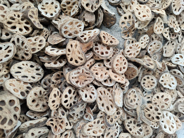 Loại củ “dầm bùn vẫn thơm” nay thành trà đặc sản 400.000 đồng/kg - Hình 5 Loai cu “dam bun van thom” nay thanh tra dac san 400.000 dong/kg-Hinh-5
