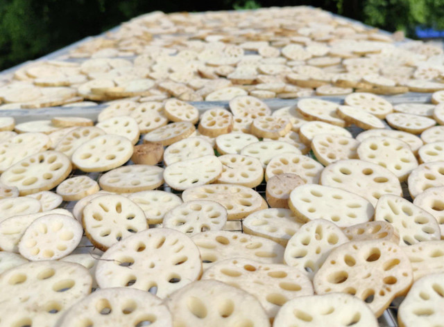 Loại củ “dầm bùn vẫn thơm” nay thành trà đặc sản 400.000 đồng/kg - Hình 2 Loai cu “dam bun van thom” nay thanh tra dac san 400.000 dong/kg-Hinh-2