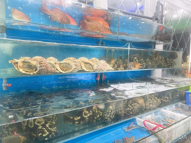 Vay tiền để khởi nghiệp, 9x Nam Định thu về hàng trăm triệu mỗi tháng - Hình 2 Vay tien de khoi nghiep, 9x Nam Dinh thu ve hang tram trieu moi thang-Hinh-2