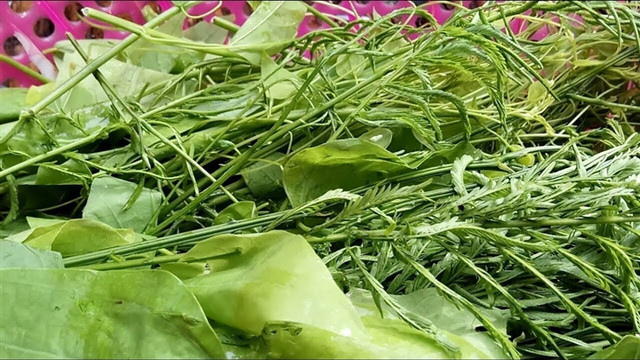 Loại rau đứng xa cả mét vẫn thấy hôi lại là món ngon khó cưỡng Loai rau dung xa ca met van thay hoi lai la mon ngon kho cuong