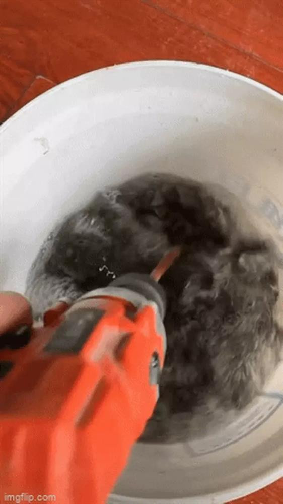 Thanh niên rửa ốc kiểu mới, dân mạng cười xỉu thấy ốc 'say như điên' - Hình 2 Thanh nien rua oc kieu moi, dan mang cuoi xiu thay oc 'say nhu dien'-Hinh-2