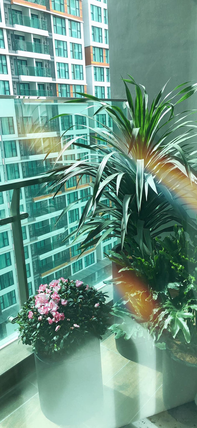 Hành trình thực hiện căn hộ mặt trăng độc, lạ của chàng trai Sài thành ảnh 25 Hành trình thực hiện căn hộ mặt trăng độc, lạ của chàng trai Sài thành ảnh 25