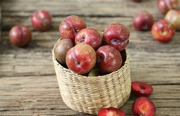 Những người ‘đại kỵ’ với mận, tuyệt đối không nên ăn kẻo 'rước thêm bệnh' - Hình 2 Nhung nguoi ‘dai ky’ voi man, tuyet doi khong nen an keo 'ruoc them benh'-Hinh-2