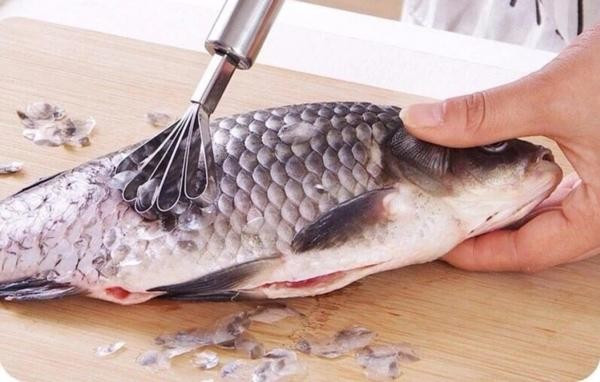 Hóa ra bộ phận này của cá nhiều người vứt đi lại "đại bổ" Hoa ra bo phan nay cua ca nhieu nguoi vut di lai