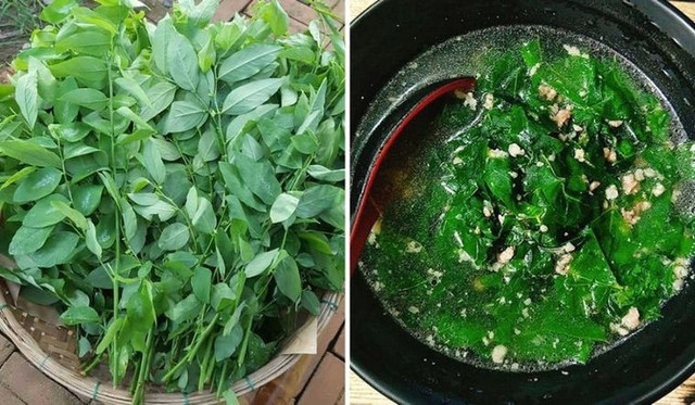 Hai loại rau chứa cả “vựa vitamin C” giúp bổ máu, hạ đường huyết Hai loai rau chua ca “vua vitamin C” giup bo mau, ha duong huyet